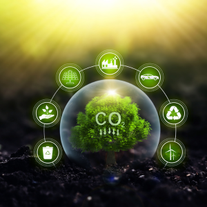 Image showing CO2 effects.